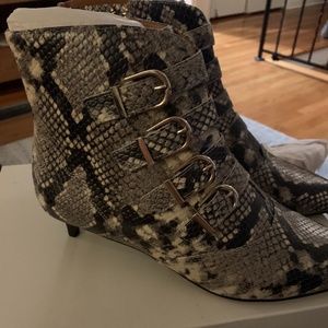 Calinda buckle snakeskin - embossed leather ankle boots